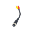 Y-Adapter vierpolig weiblich / 1x Cinch weiblich + Stromversorgung weiblich
